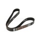 RIBBED V-BELT GATES 8PK1162HD